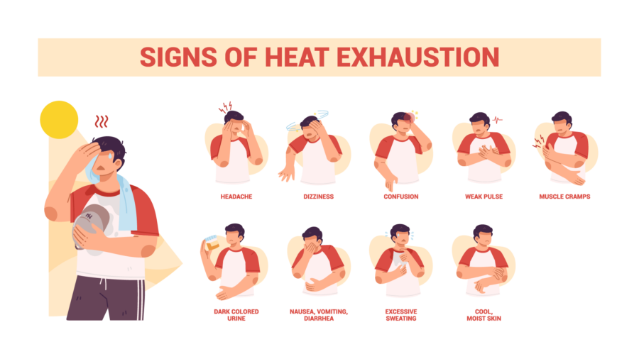 Illustration showing signs of heat exhaustion: headache, dizziness, confusion, weak pulse, muscle cramps, dark urine, nausea, vomiting, diarrhea, excessive sweating, and cool, moist skin.