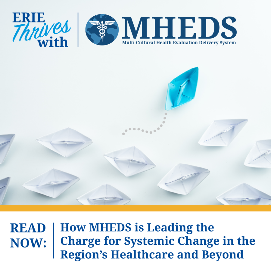 How MHEDS is Leading the Charge for Systemic Change in the Region’s Healthcare and Beyond